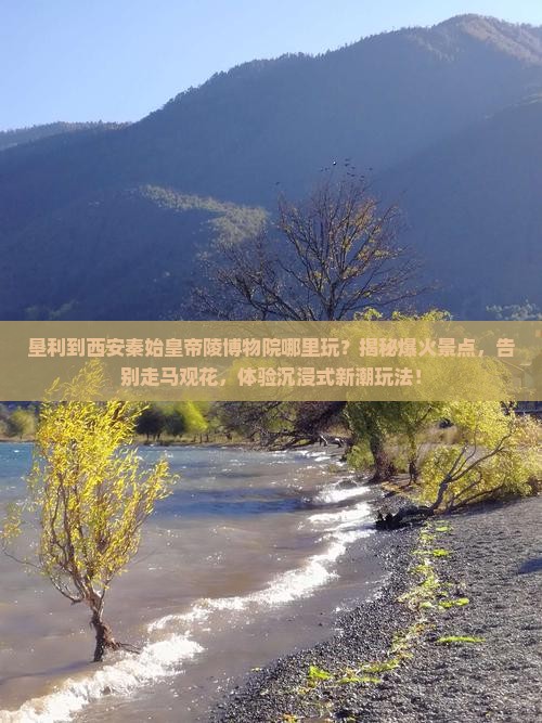 垦利到西安秦始皇帝陵博物院哪里玩