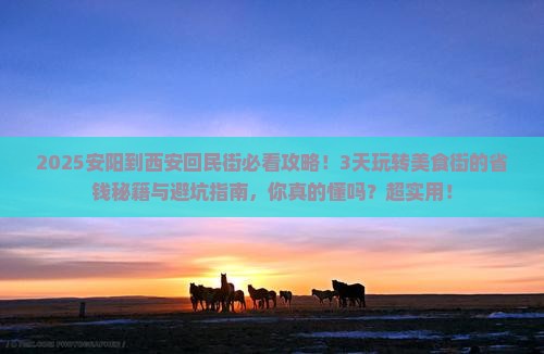 安阳到西安回民街景点