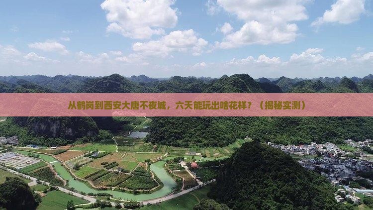 鹤岗到西安大唐不夜城六日游