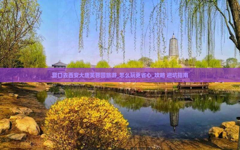 营口去西安大唐芙蓉园旅游