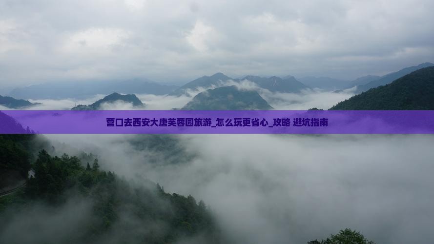 营口去西安大唐芙蓉园旅游
