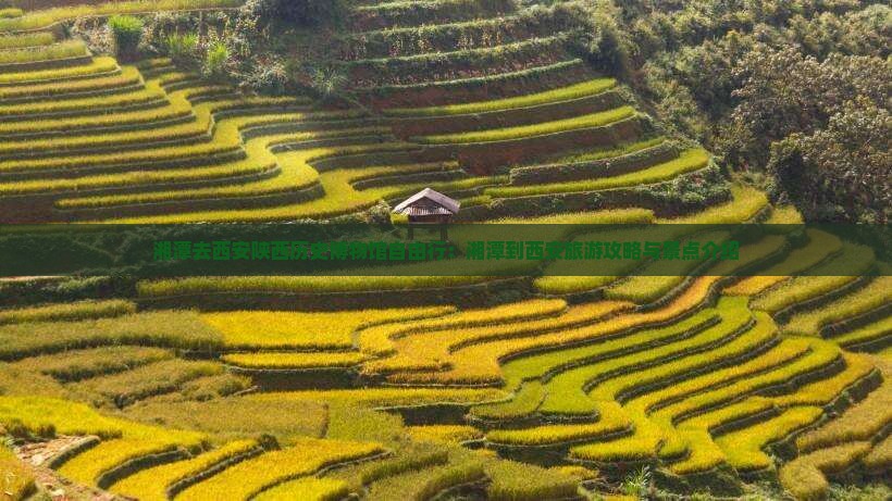 湘潭去西安陕西历史博物馆自由行