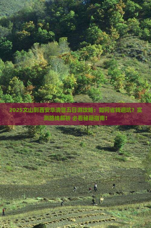 文山到西安华清宫五日游