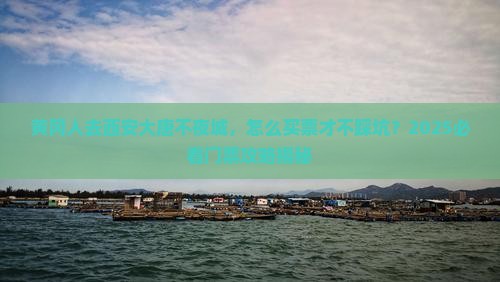 黄冈去西安大唐不夜城门票 黄冈去西安大唐不夜城门票