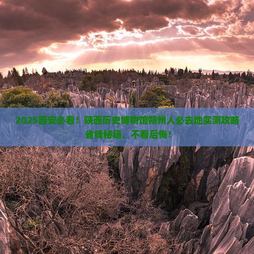 朔州到西安陕西历史博物馆必去地
