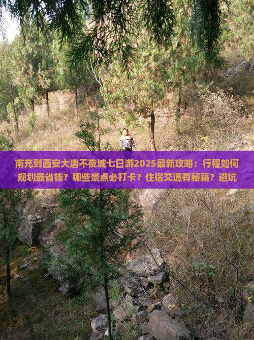 南充到西安大唐不夜城七日游