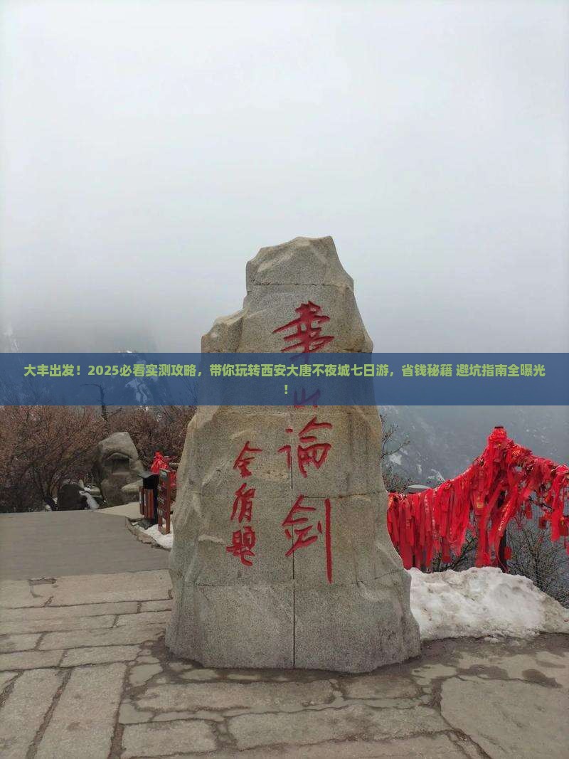 大丰到西安大唐不夜城七日游