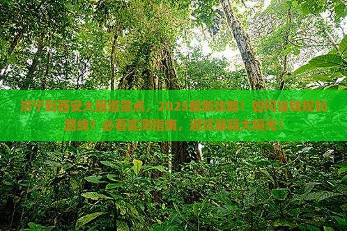 济宁到西安大雁塔景点