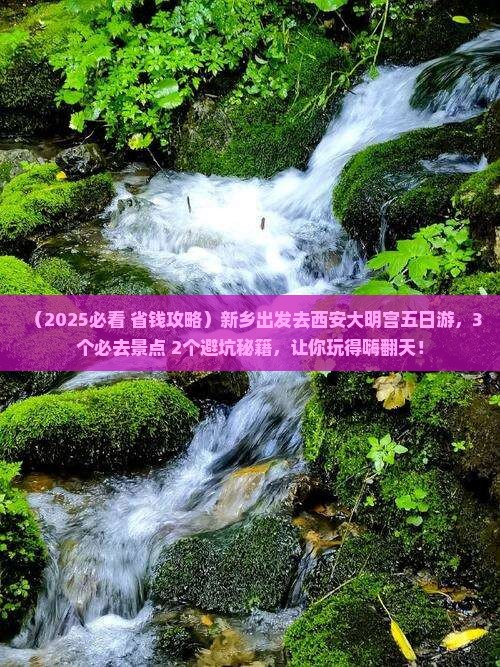 新乡去西安大明宫国家遗址公园五日游