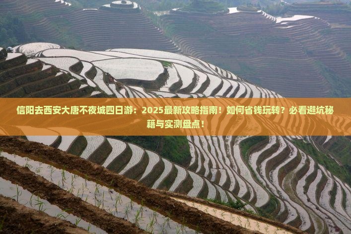 信阳去西安大唐不夜城四日游