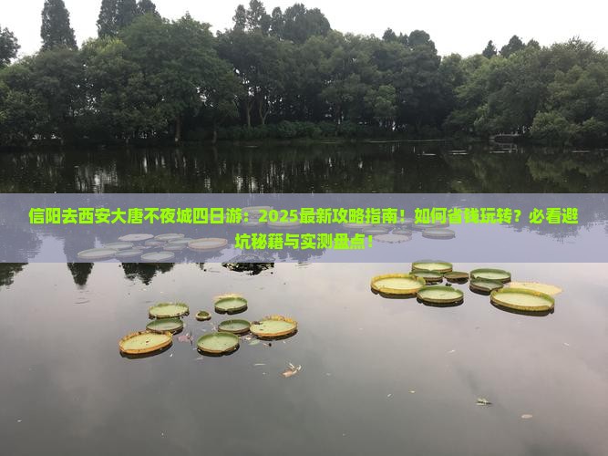 信阳去西安大唐不夜城四日游