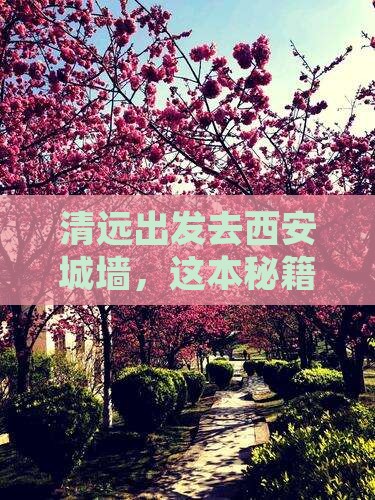 清远去西安城墙攻略