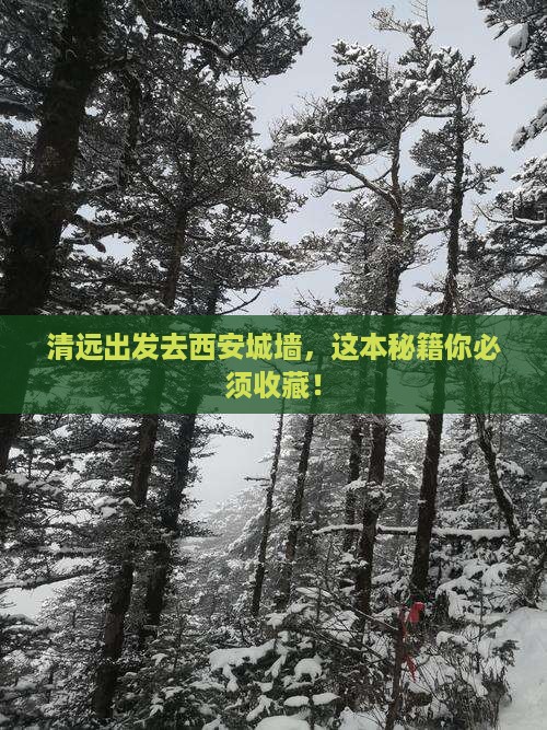 清远去西安城墙攻略