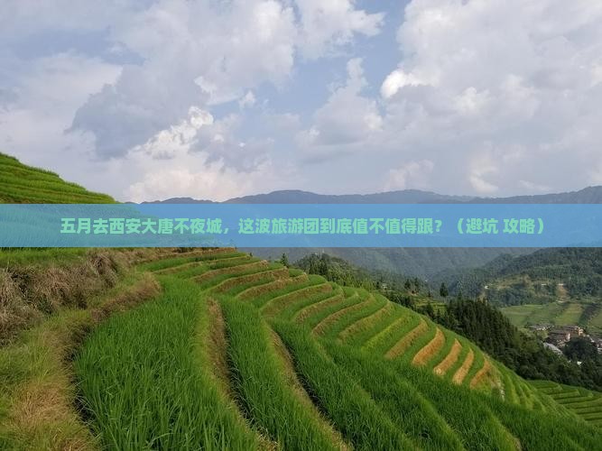 五月去西安大唐不夜城大型旅游团