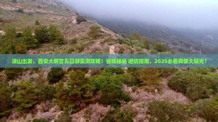 凉山到西安大明宫国家遗址公园五日游