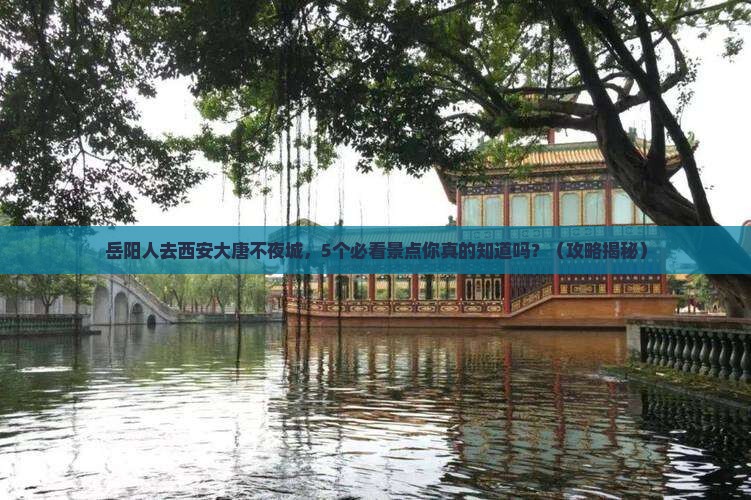 岳阳去西安大唐不夜城旅行社