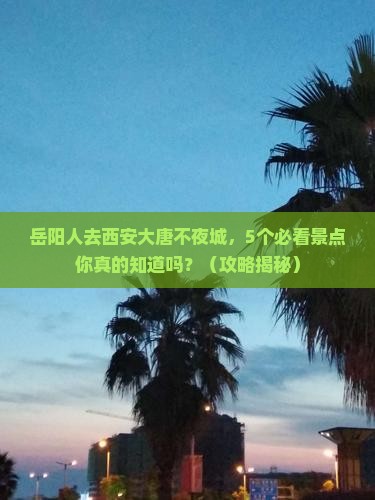 岳阳去西安大唐不夜城旅行社