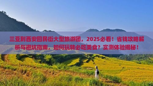 三亚到西安回民街大型旅游团