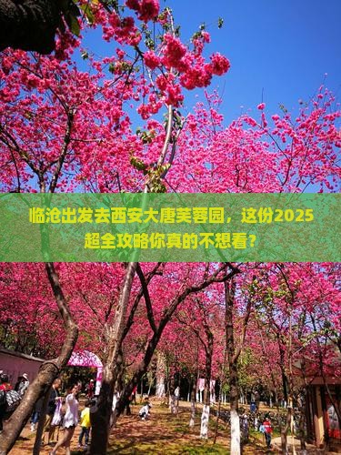 临沧去西安大唐芙蓉园大型旅游团