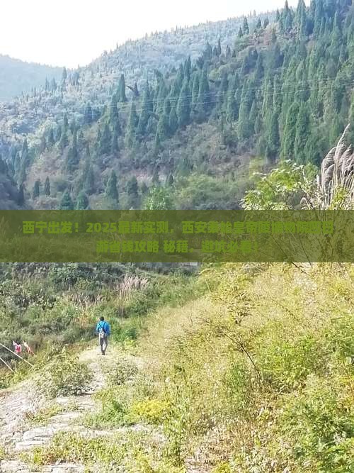 西宁去西安秦始皇帝陵博物院四日游