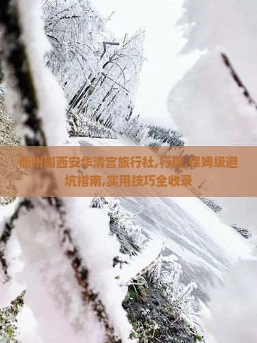 衢州到西安华清宫旅行社