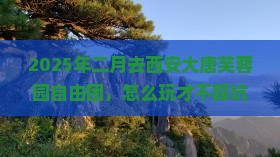 二月到西安大唐芙蓉园自由团