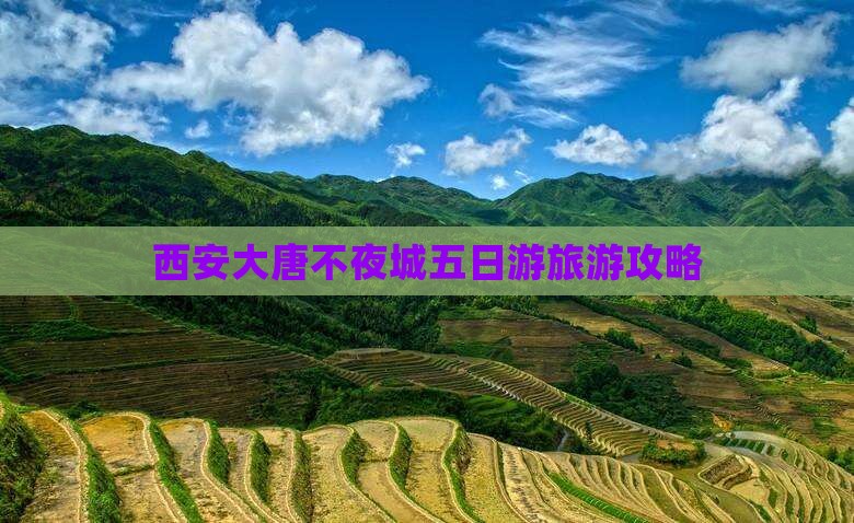 阳泉去西安大唐不夜城五日游