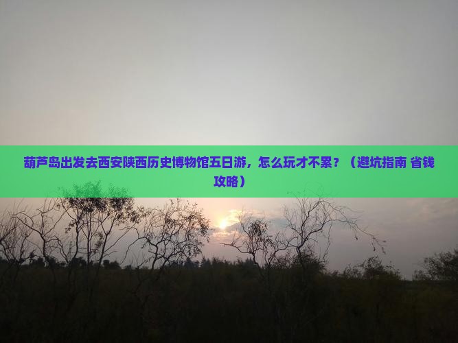 葫芦岛去西安陕西历史博物馆五日游