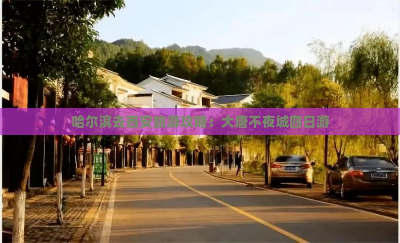 哈尔滨去西安大唐不夜城四日游