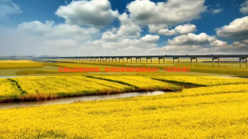 唐山去西安钟楼旅游小吃