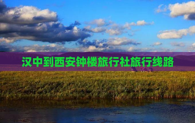 汉中去西安钟楼旅行社