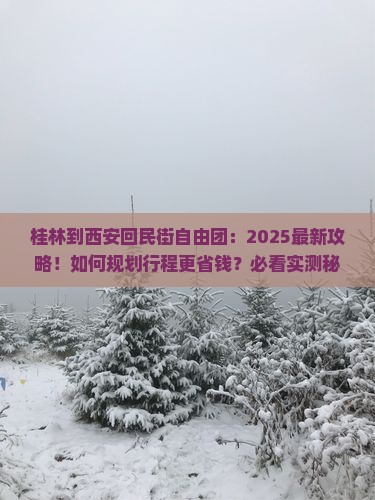 桂林到西安回民街自由团
