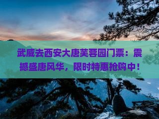 武威去西安大唐芙蓉园门票