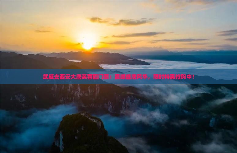 武威去西安大唐芙蓉园门票