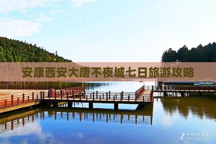 安康到西安大唐不夜城七日游