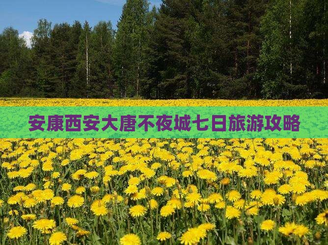 安康到西安大唐不夜城七日游