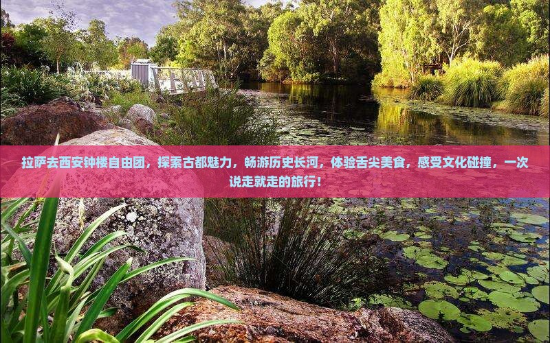 拉萨去西安钟楼自由团