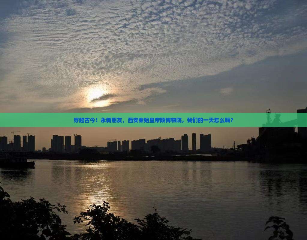 永新到西安秦始皇帝陵博物院一日游