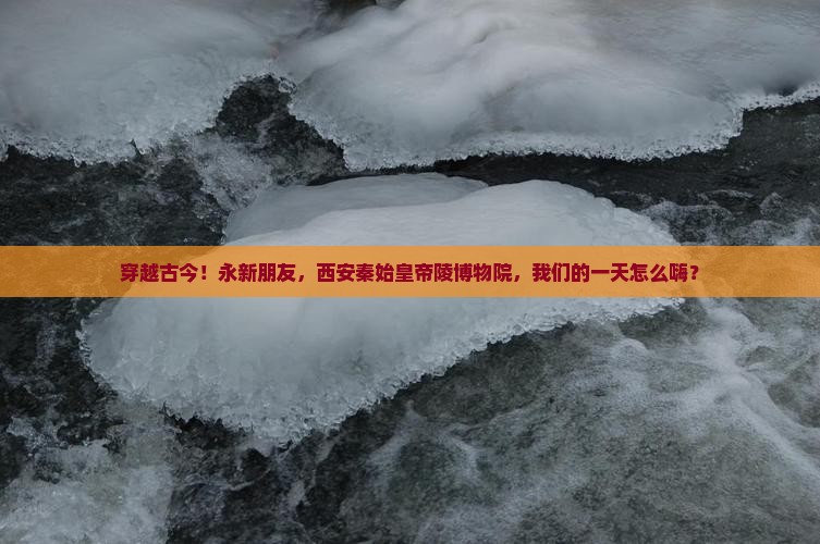 永新到西安秦始皇帝陵博物院一日游