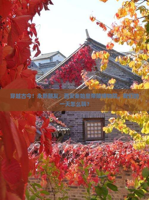 永新到西安秦始皇帝陵博物院一日游
