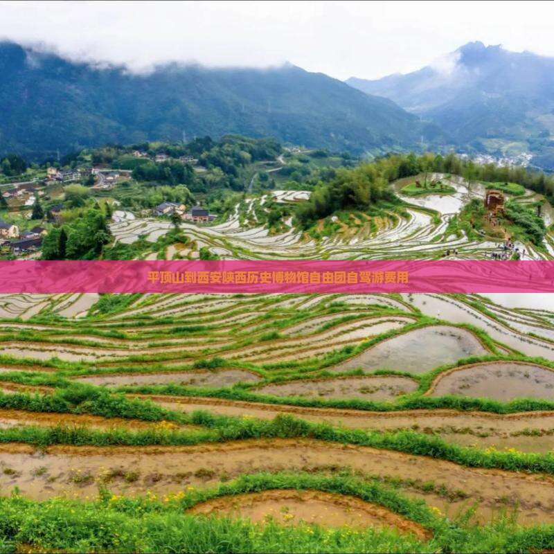 平顶山到西安陕西历史博物馆自由团