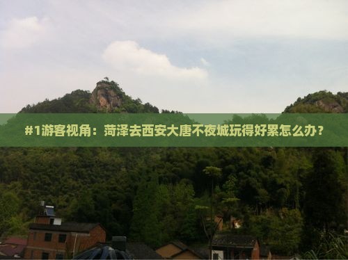 菏泽到西安大唐不夜城旅行社