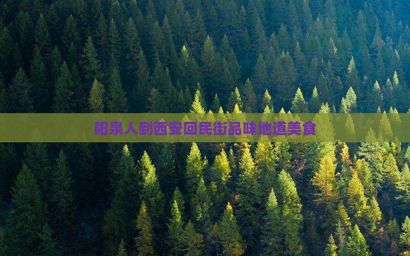 阳泉去西安回民街旅游小吃