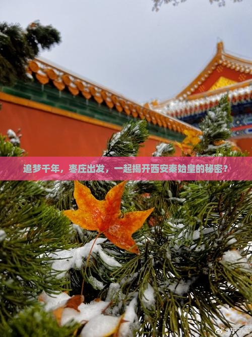 枣庄去西安秦始皇帝陵博物院旅行社