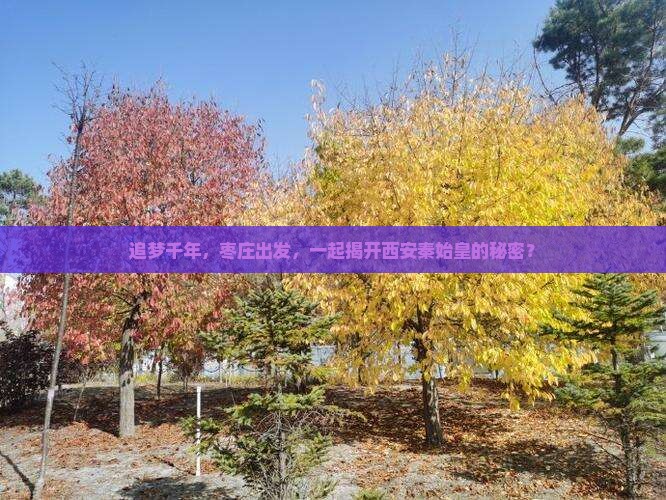 枣庄去西安秦始皇帝陵博物院旅行社