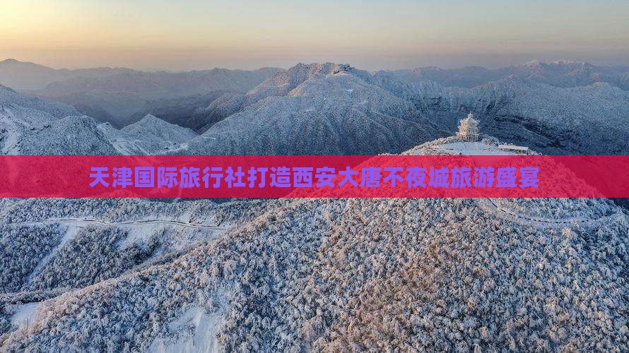 天津去西安大唐不夜城旅行社