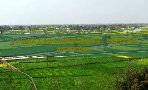 大同去西安大明宫国家遗址公园哪里玩