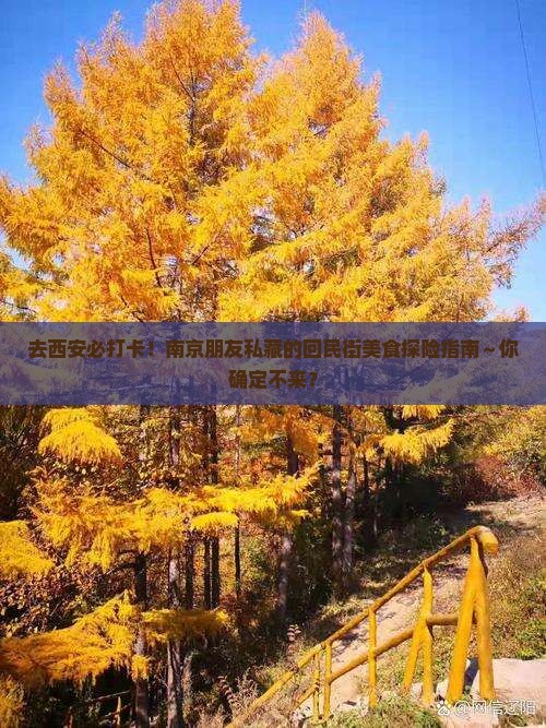 南京去西安回民街攻略