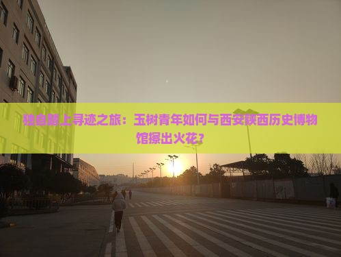 玉树去西安陕西历史博物馆个人游