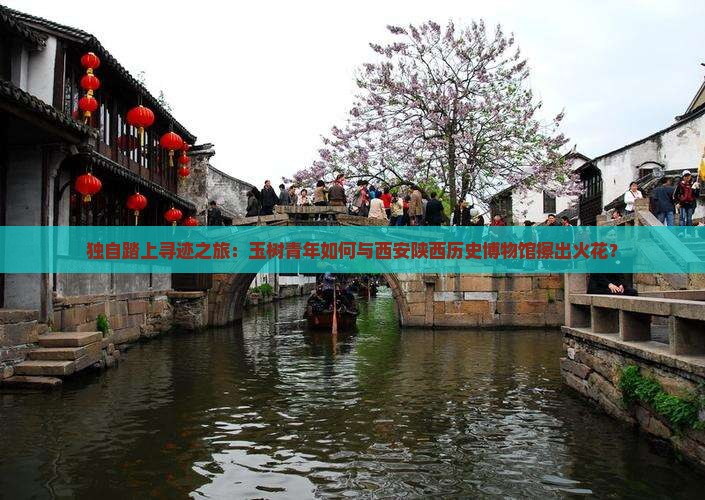玉树去西安陕西历史博物馆个人游